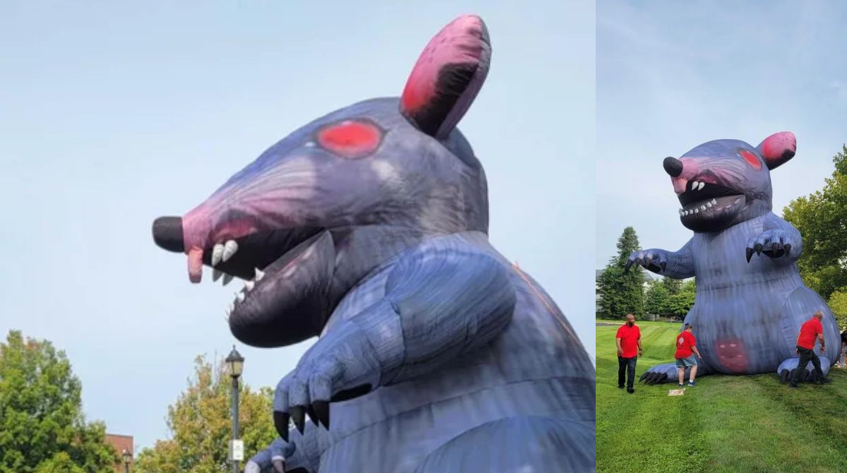 Giant inflatable rat "Scabby" set up by CWA union members outside Bethesda Game Studios headquarters to protest Xbox layoffs
