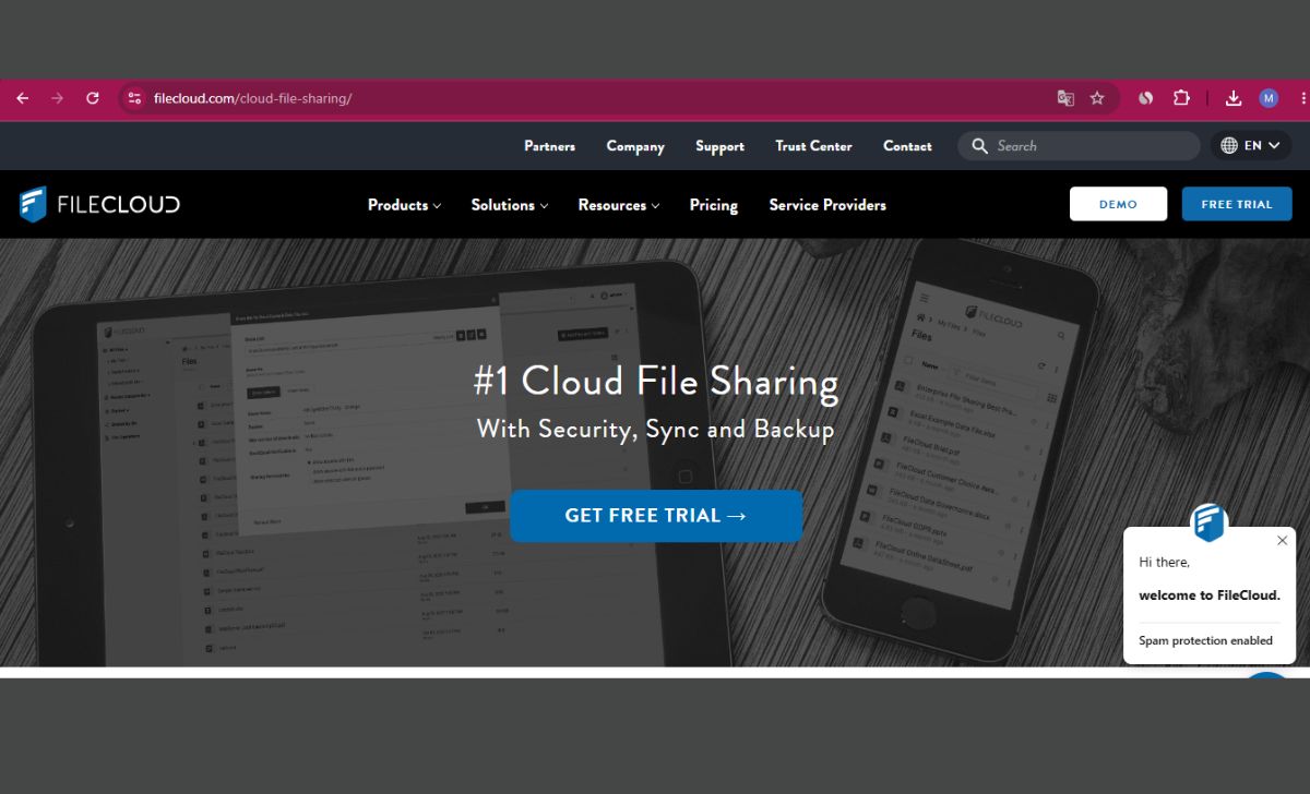 Cloud storage folders for document sharing